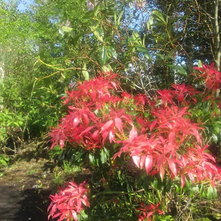 Bed & Breakfast Ard Na Greine 3*