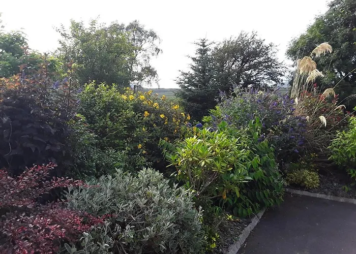 Bed and breakfast Ard Na Greine 3*